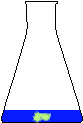 Erlen