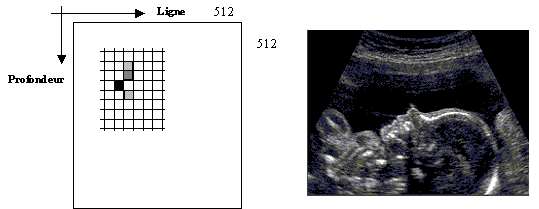 c25.gif (10579 octets)