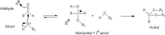 wpe5.jpg (8665 octets)