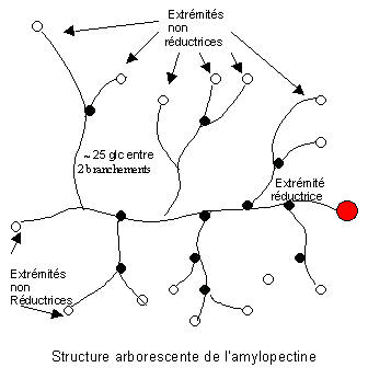 wpe10.jpg (14690 octets)