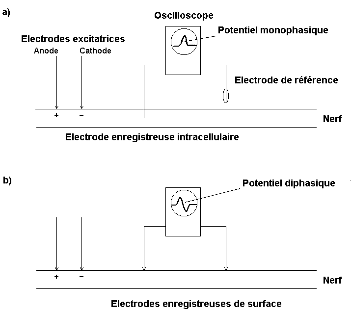 Image388.gif (8399 octets)